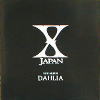 X JAPAN ̃v